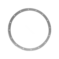 flanec-hayward-dlja-zabornika-na-40-m3-ch-br3x22090